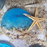 پالت ناخن دریایی