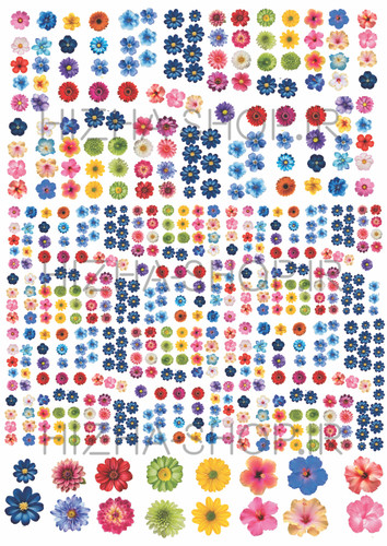 برچسب شکوفه بهاری